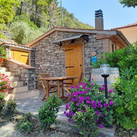 Holiday Home Home Relax By Interhome Кастеллина-Мариттима Экстерьер фото