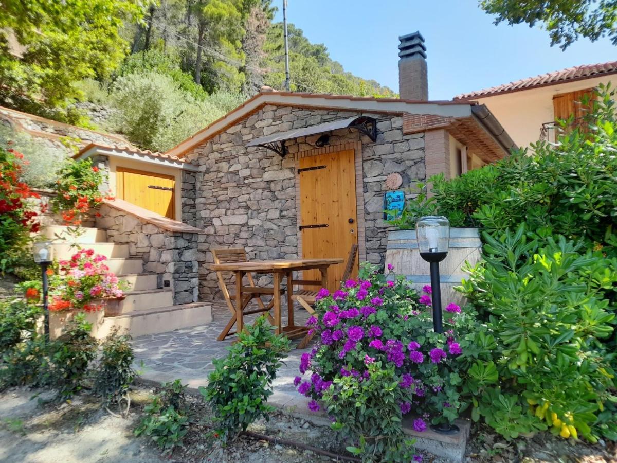 Holiday Home Home Relax By Interhome Кастеллина-Мариттима Экстерьер фото